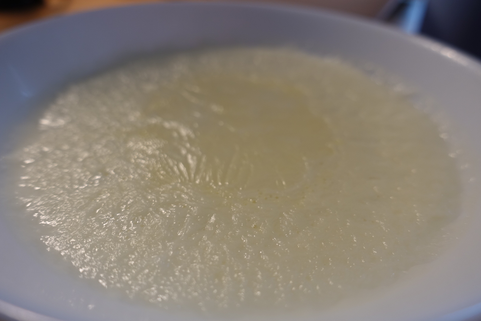 Double Skin Milk (双皮奶)